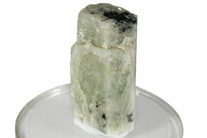 Beryl (Aquamarine) Crystal - Brazil #246603